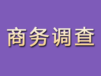 天长商务调查